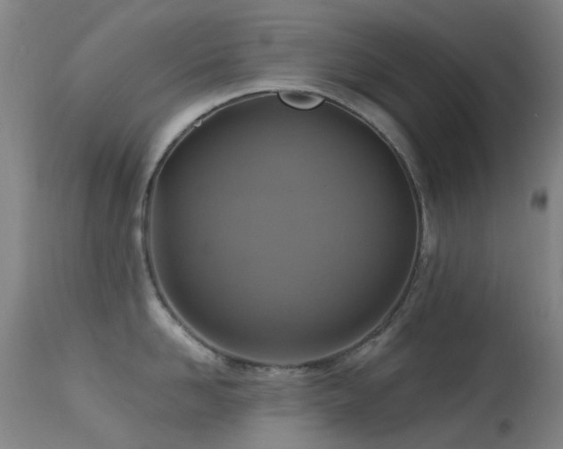 X0000113230958200909171536