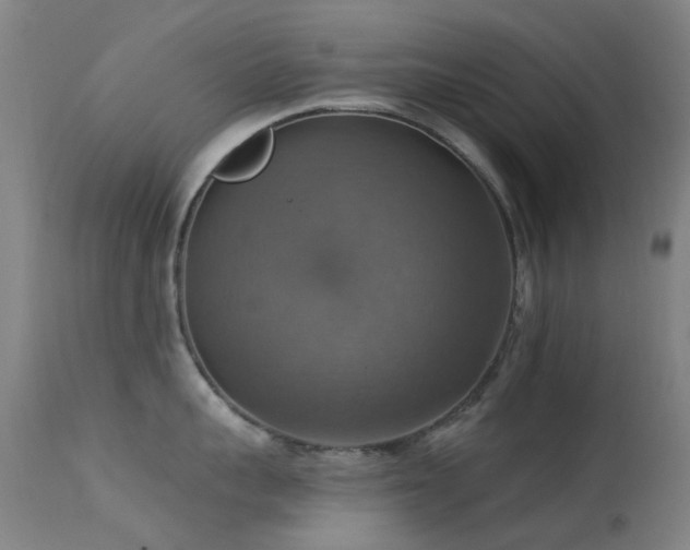 X0000113230959200909171536