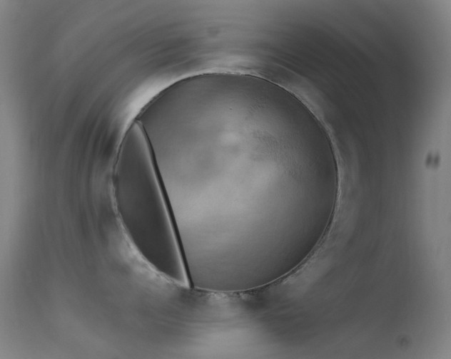 X0000113230960200909171536