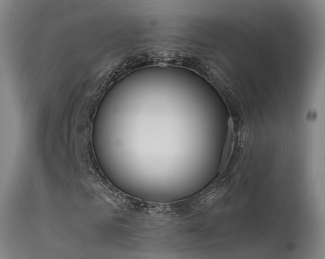 X0000113230961200909171535