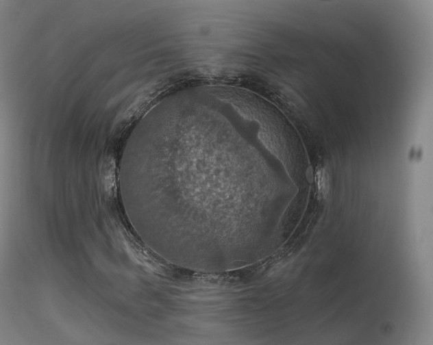 X0000113230963200909171535