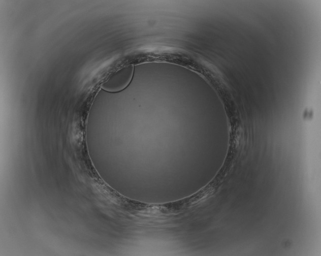 X0000113230966200909171535