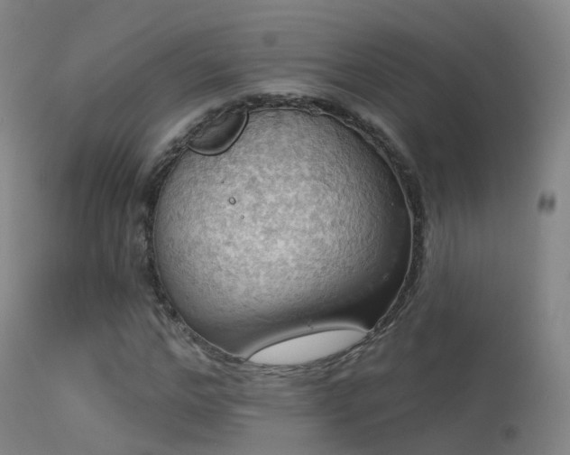X0000113230968200909171535