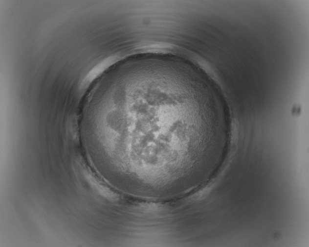 X0000113230970200909171535