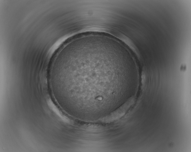 X0000113230972200909171535