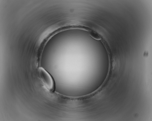 X0000113230973200909171535