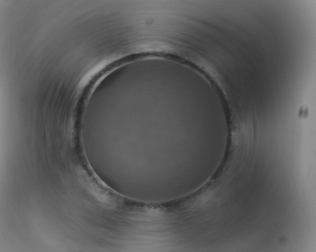 X0000113230975200909171535