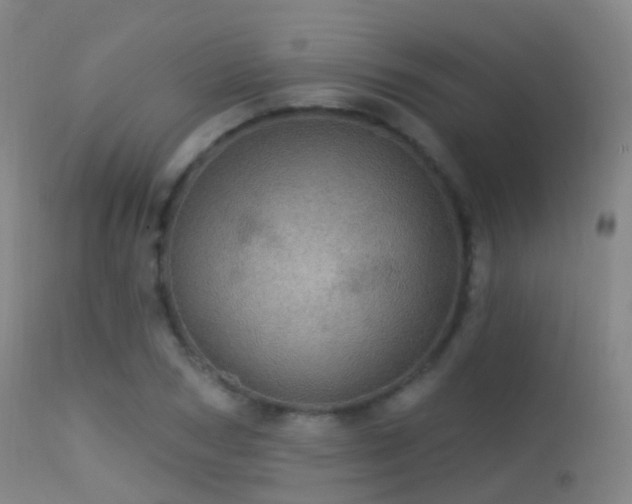 X0000113230978200909171535