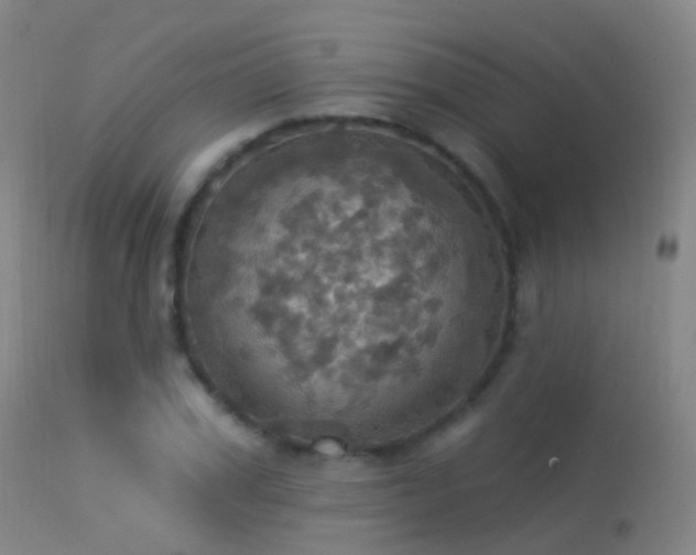 X0000113230979200909171535