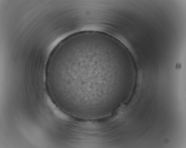 X0000113230980200909171535