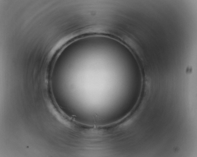 X0000113230981200909171535