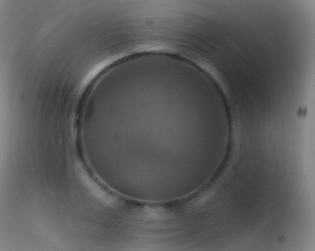 X0000113230983200909171535