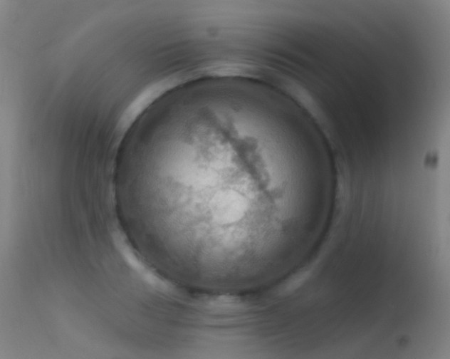 X0000113230986200909171535