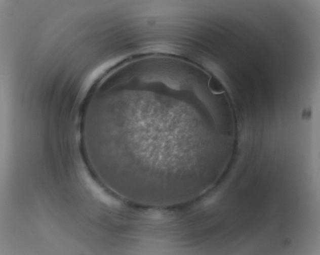 X0000113230987200909171535