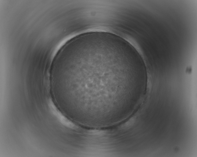 X0000113230996200909171535