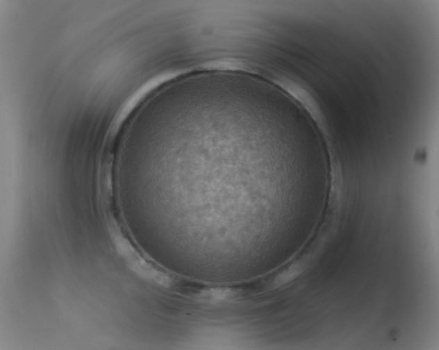 X0000113231000200909171535