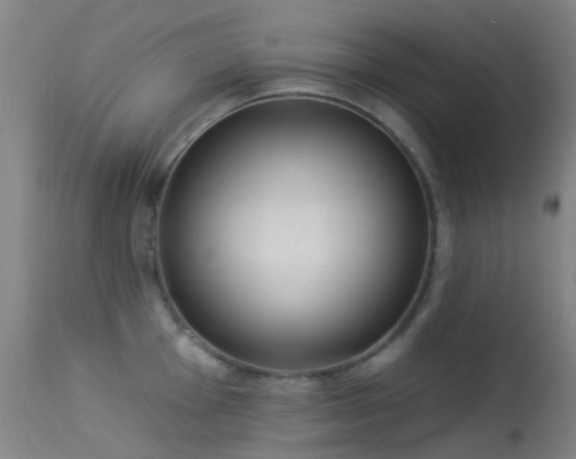 X0000113231001200909171535
