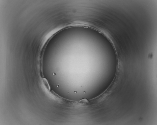 X0000113231003200909171535