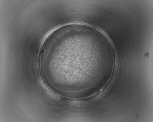 X0000113231004200909171535