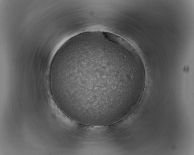 X0000113231008200909171534
