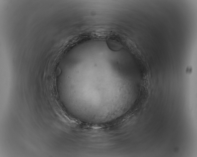 X0000113231009200909171534