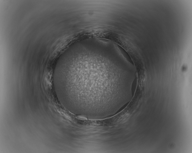 X0000113231010200909171534