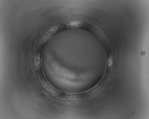 X0000113231011200909171534
