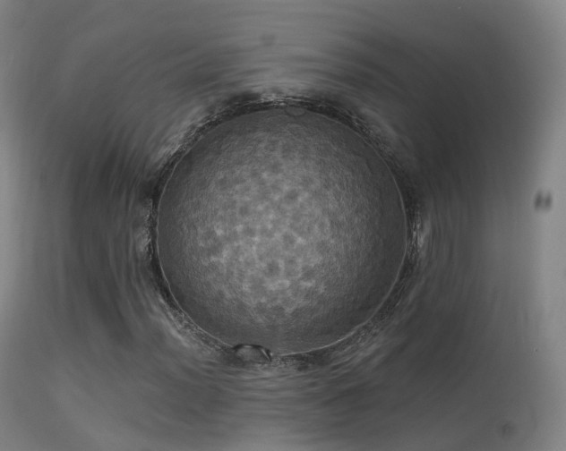 X0000113231012200909171534