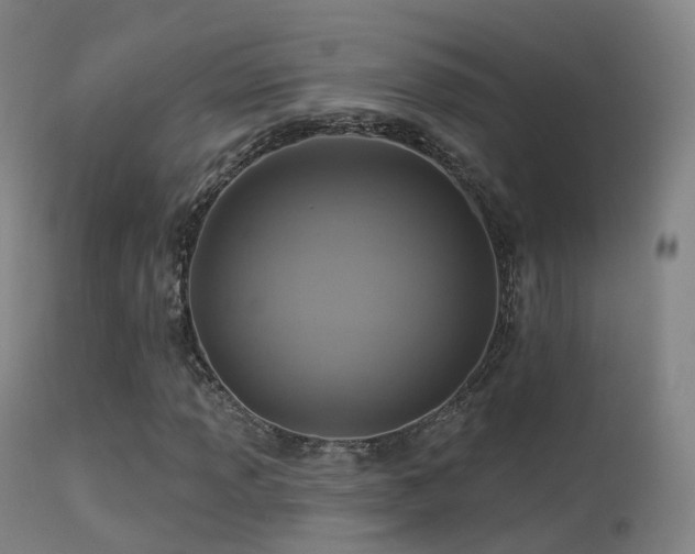 X0000113231013200909171534