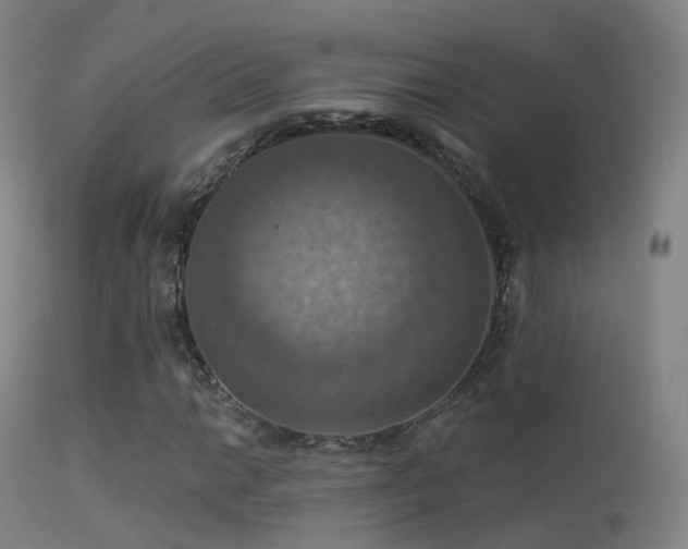 X0000113231014200909171534