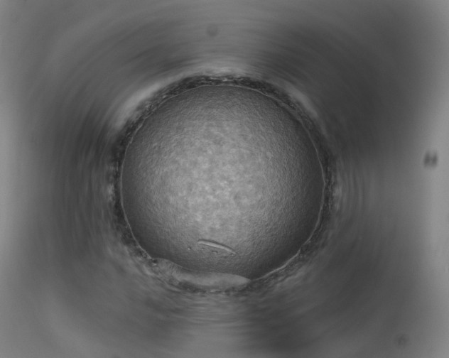 X0000113231016200909171534
