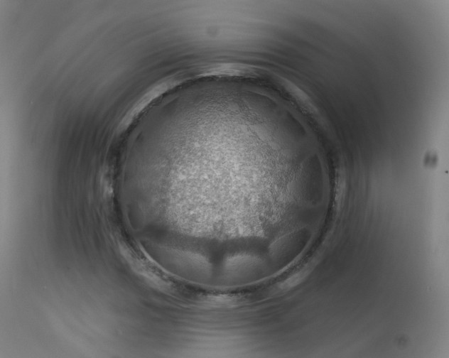 X0000113231017200909171534