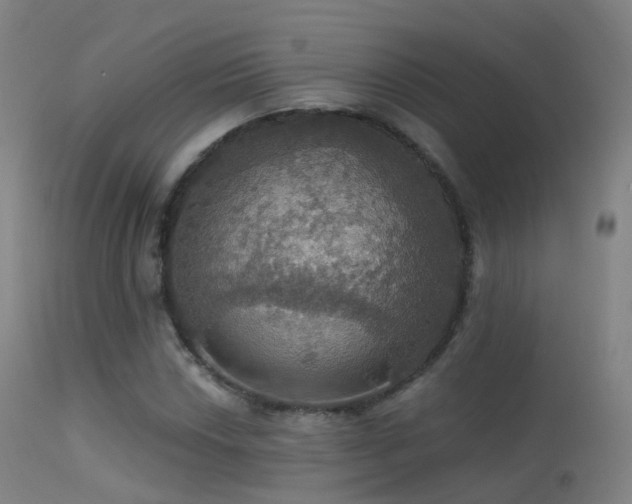 X0000113231018200909171534