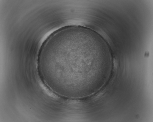 X0000113231020200909171534