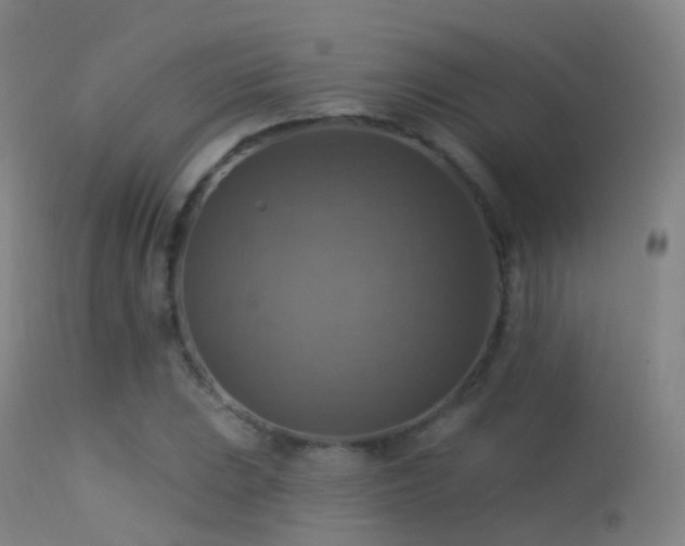X0000113231023200909171534