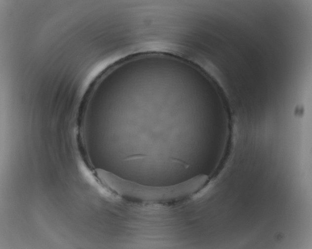 X0000113231024200909171534