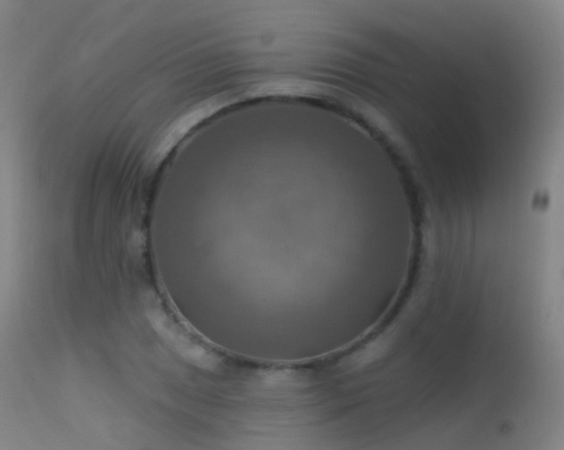 X0000113231025200909171534