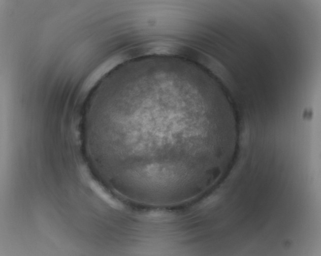 X0000113231026200909171534