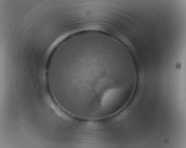 X0000113231029200909171534