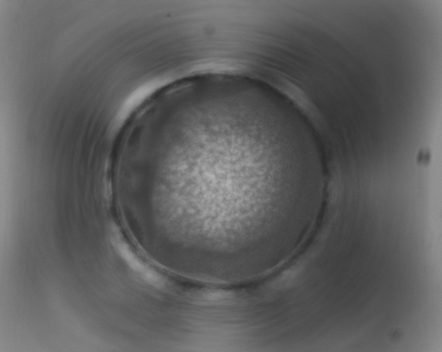 X0000113231030200909171534