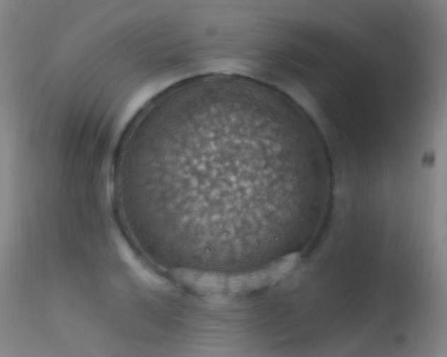 X0000113231032200909171534
