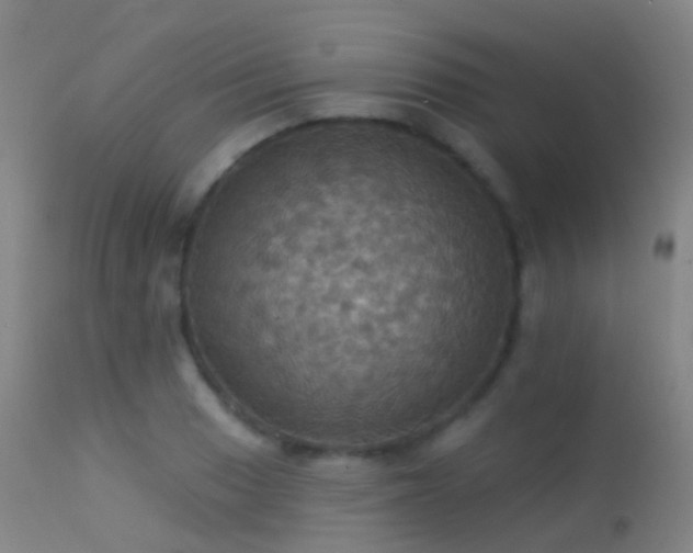 X0000113231033200909171534
