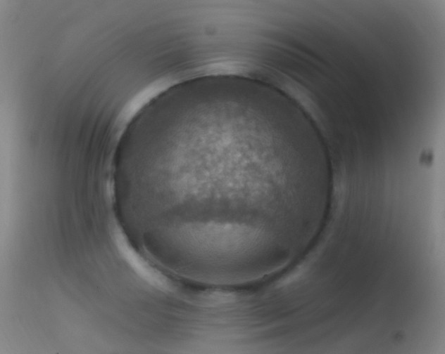 X0000113231034200909171534