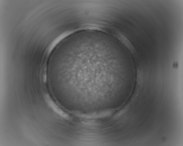 X0000113231036200909171534