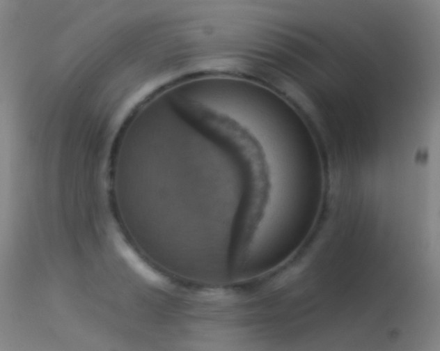 X0000113231037200909171534