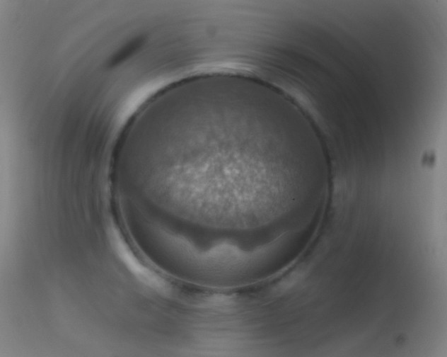 X0000113231038200909171534