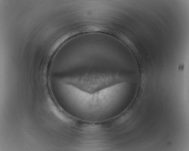 X0000113231039200909171534