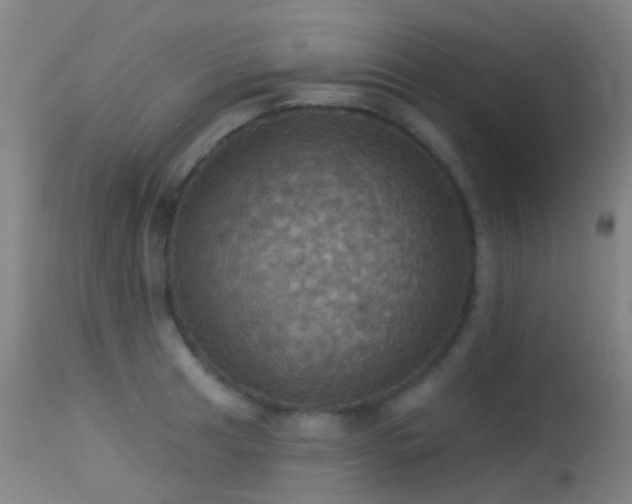 X0000113231041200909171534