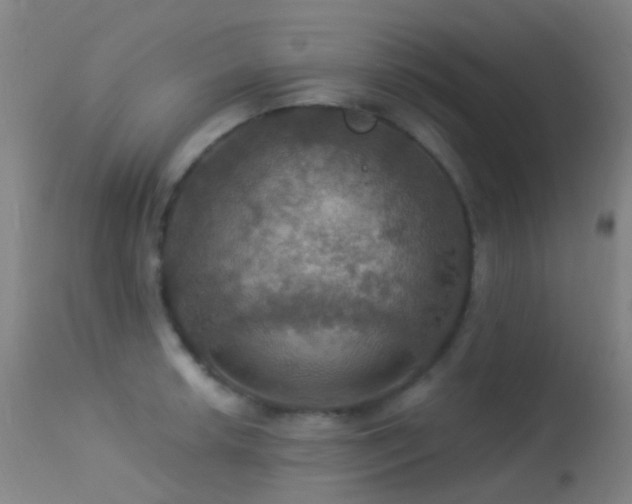 X0000113231042200909171534