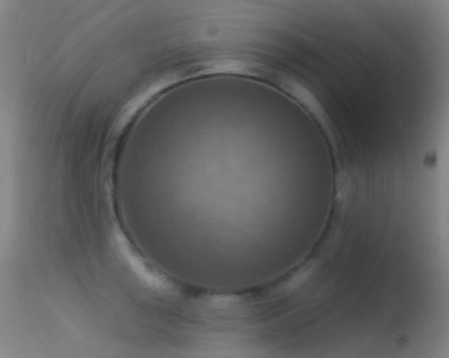 X0000113231043200909171534